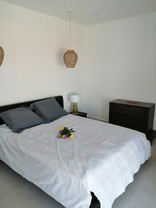 Residence Canne Mapou 2 1 Chambre Saint Pierre Esterno foto